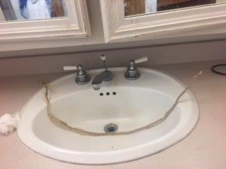 Springfield snake skin